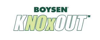 logo knoxout@2x